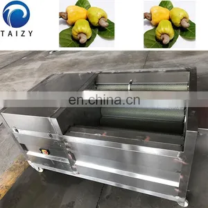 High Quality Cashew Nut Washing Packaging Machine thumbnail-7