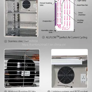 SPX-100SMJ LCD Display Mildew Incubator for Microorganism thumbnail-3
