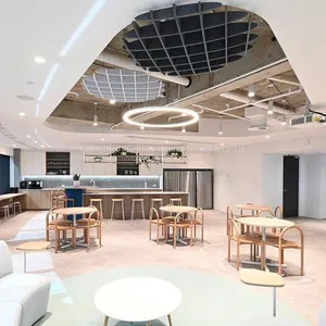 Acoustic Ceiling Cloud in Working Space thumbnail-2