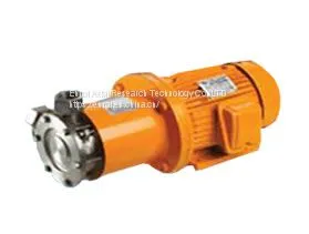 Magnetic Vortex Pump thumbnail-1