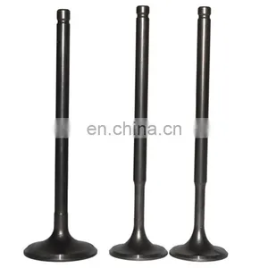 Best Supplier Moto Spare Parts Engine Valves For Suzuki GSX250 250 RMZ250 An250 An400 Gn250 thumbnail-2