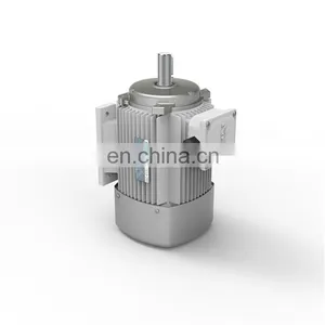 YE2 Series Electric Motor High Speed Three Phase Induction Motor for Industry Machinery Asynchronous Motor thumbnail-2