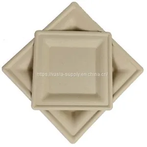 Compostable Biodegradable Sugarcane Recycled Bagasse 20*20cm Square Plates for a Garden Party Stable and do Not Sag thumbnail-1
