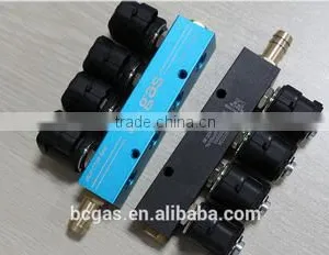 Gas Fuel Injector Rail thumbnail-1