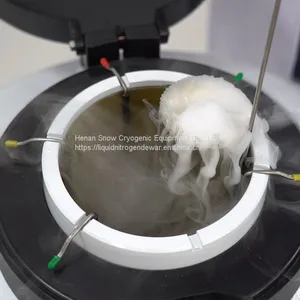 Semen Cryogenic Liquid Nitrogen Bottle thumbnail-4