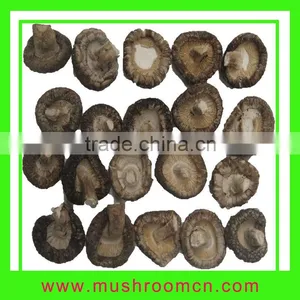 Bulk Dried Mushrooms thumbnail-1