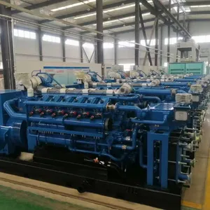 Biomass Generator Set thumbnail-1