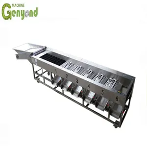 Fruit Sorting Machine Can Use for Pear/ Tomato/ Cherry/ Apple/ Orange/ Lemon/ Mango thumbnail-3