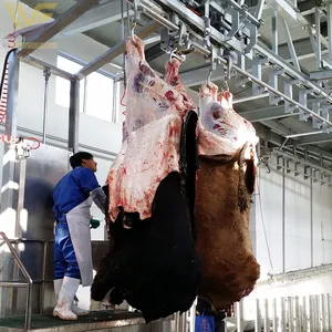 Customized Cattle Cow Abattoir Equipment Line USDA Butcher Machinery Beef Processing Production Factory Meat Slaughter Machine thumbnail-3