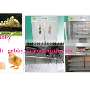 High Quailty Incubators for Hatching Eggs thumbnail-1