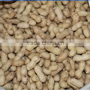 Crop 2015 Chinese Raw Peanut Inshell thumbnail-2