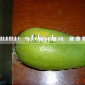 Papaya thumbnail-1