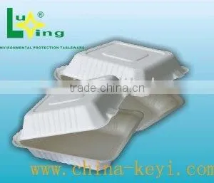 Biodegradable Food Box thumbnail-1