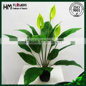 Artificial Peace Lily Flower Artificial Flower Pot thumbnail-1