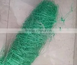 100% PP Plastic Fruit Cage Roof Netting/Fruit Protection Net thumbnail-6