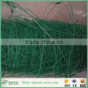 100% PP Plastic BOP Net/ Plastic Stretching Net thumbnail-5