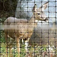 High Tensile Plastic Deer Mesh thumbnail-2