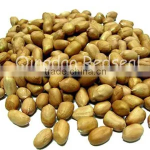 New Crop of Peanut Kernels(Spanish Type) thumbnail-1