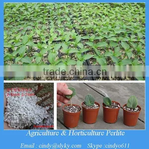 Horticultural And Agriculture Perlite Supplier thumbnail-1