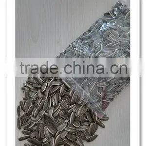 Inner Mongolia Sunflower Seeds 5009 Long Shape thumbnail-4