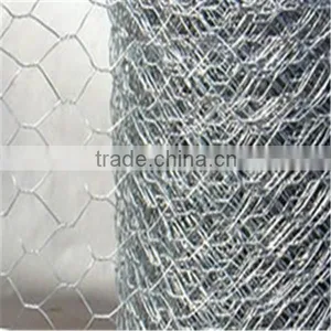 HEXAGONAL WIRE MESH(PVC & GALVANIZED) thumbnail-1