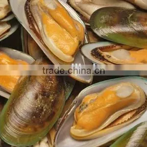 Frozen Half Green Mussel Shell thumbnail-1