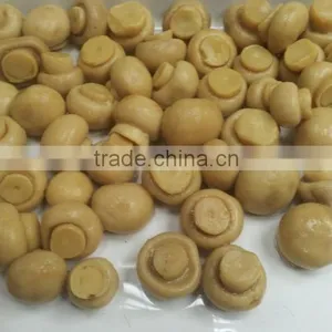 Canned Mushroom Whole in Brine thumbnail-1