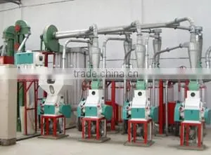 10t Wheat Flour Milling Machine thumbnail-6