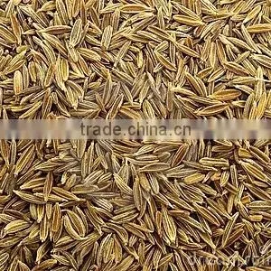 Cumin Seed thumbnail-2