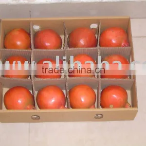 Fresh Red Pomegranates From India thumbnail-1
