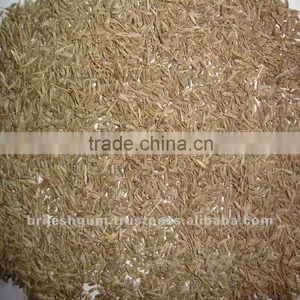 Cumin Seed Singapore 99% thumbnail-1