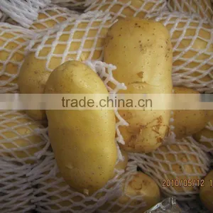 Fresh Sweet Potato 10kg Ctn thumbnail-1