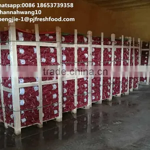 2016 New Crop Fresh Chestnuts HACCP Gap Kosher EU Standard thumbnail-5