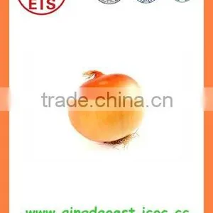 Export Best Quality Fresh Red Yellow White Onion thumbnail-1
