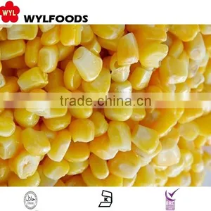 High Quality Iqf Frozen Sweet Corn thumbnail-2