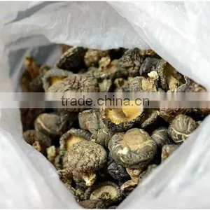 Dried Shitake Mushroom for Importer thumbnail-4