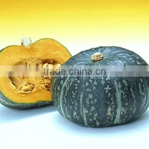 Organic Pumpkin Seed Oil Essential Oil thumbnail-3