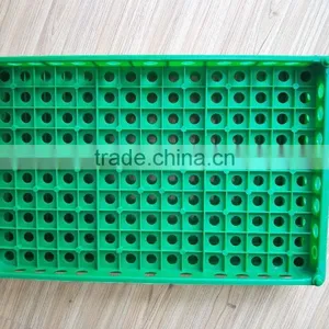 China Best Selling Plastic Egg Crate Tray for Quail Eggs Delivery thumbnail-2