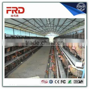 FRD 2016 Poultry Farm Equipment Automatic Battery Design Chicken Egg Layer Cages /bird Cage for Sale/decorative Bird Cages thumbnail-4