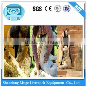 China Factory Direct Wholesale Electric Sheep Clipper thumbnail-3
