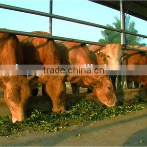 Agricultural Harvester thumbnail-4