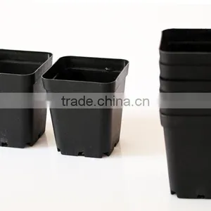 Succulent Plants Square Pot thumbnail-2