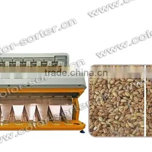 High Output Capacity Wheat Color Sorter Machine/wheat Separator thumbnail-2