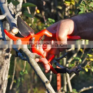 Superior All Season Bypass Pruning Shears Garden Tool From New-hero Gardens - High Carbon Steel for Durability, Sharpness, and E thumbnail-4