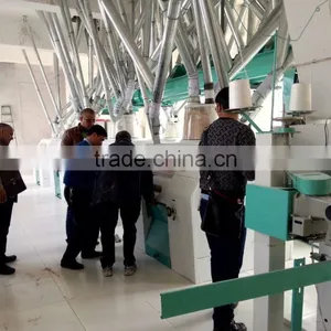 300t/24h Wheat Flour Mill Complete Production Line thumbnail-3