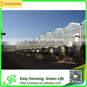 Agricultrual PC Sheet Greenhouse Shade Green House Design thumbnail-3