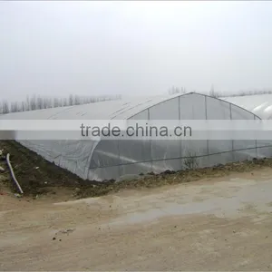 Low Cost Agriculture Single Span Greenhouses thumbnail-1