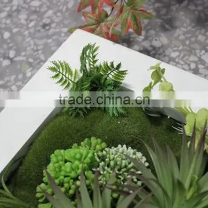 Indoor and Outdoor Artificial Succulent Plants Wall New Item Indoor Plant Wall thumbnail-3