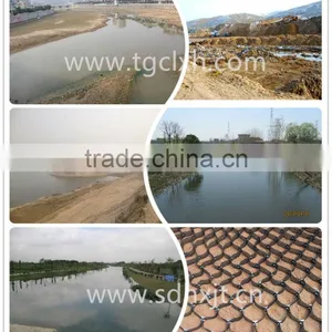 Geocell for the Beach, River, River Bank Governance thumbnail-1