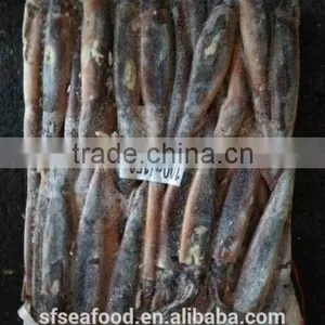 Frozen Argentina Illex Squid for Wholesale thumbnail-1